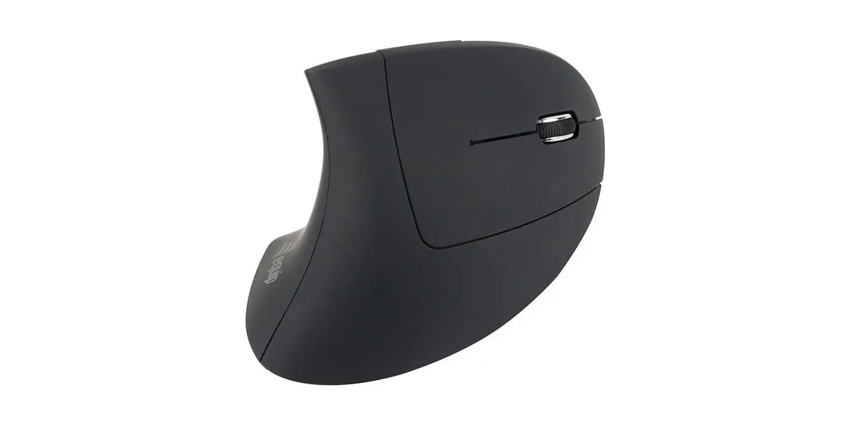 Equip 245110 ergo muis Rechtshandig RF Draadloos Optisch 1600 DPI