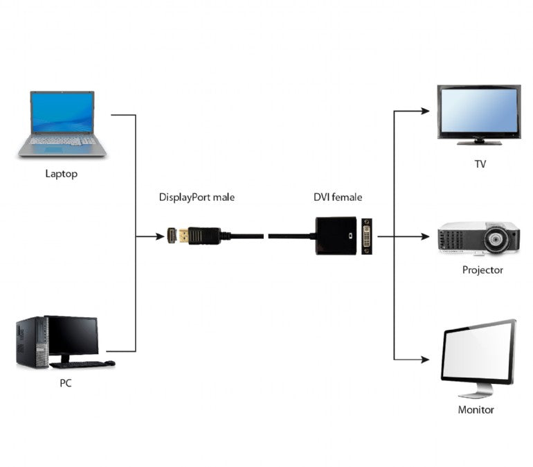 Gembird A-DPM-DVIF-002 video kabel adapter 0,1 m DisplayPort DVI Zwart