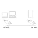 Ewent EW9648 TYPE-C M-M, USB 3.1GEN2, 1M ZT ( AC7365 )