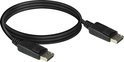Ewent ew9841 DisplayPort cable 3.0 Meter AC3903